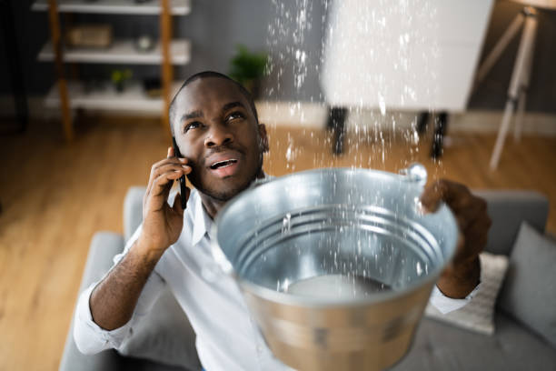 Best Basement water damage restoration  in North Vacherie, LA