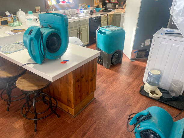 Best 24/7 water damage repair  in North Vacherie, LA