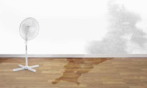 Fire Damage Restoration in LA