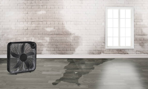  North Vacherie, LA Water damage restoration Pros