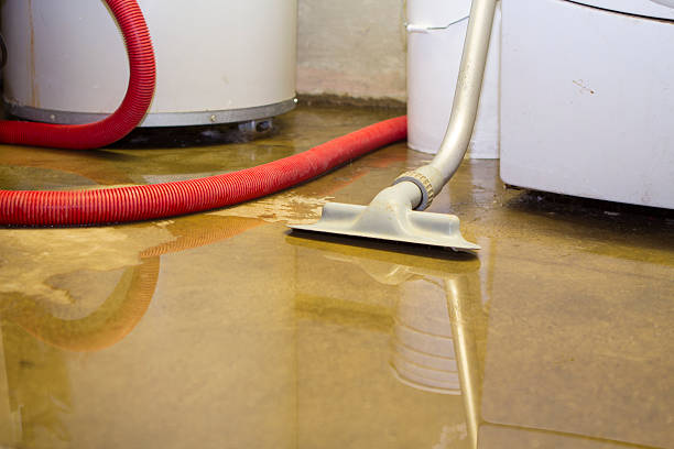 Best 24-hour water damage restoration  in North Vacherie, LA