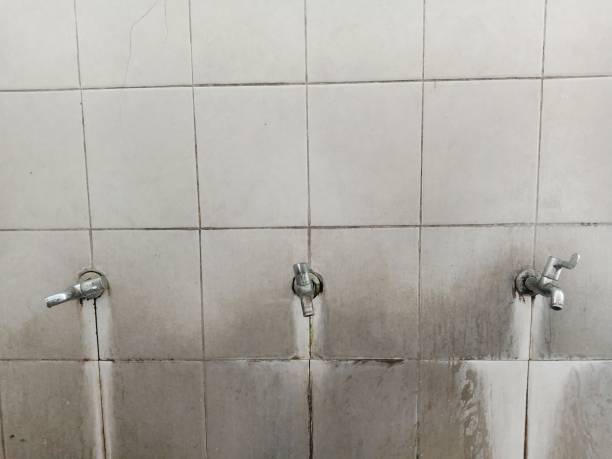 Best Ceiling water damage repair  in North Vacherie, LA