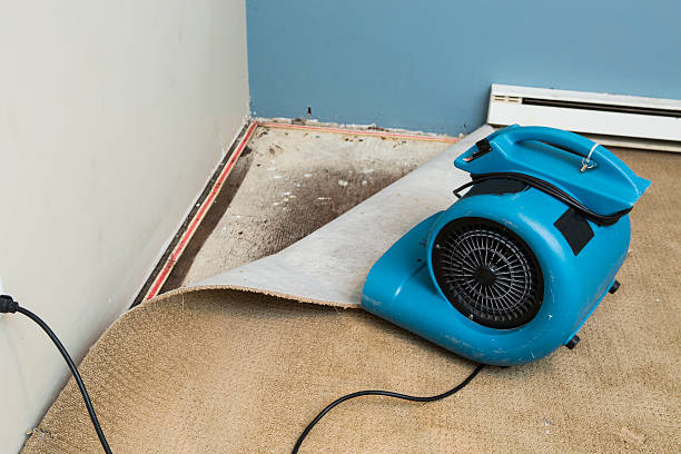 Best Carpet water damage restoration  in North Vacherie, LA